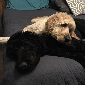 Meet your Posher, Leslie